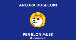 Dogecoin Space X