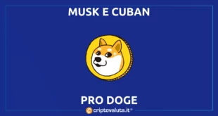 Musk Cuban Twitter Spam