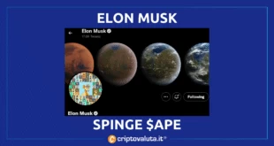 Elon Musk APe