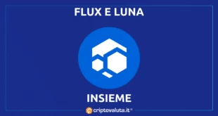 Flux vola sul mercato