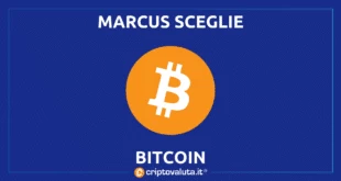 Marcus Bitcoin Lightning