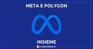 Polygon e Meta insieme