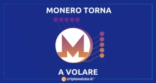 Monero torna a volare