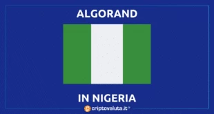 nigeria algorand