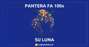 Pantera gain luna