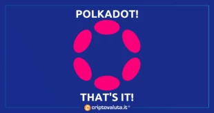 Polkadot spinge multichain