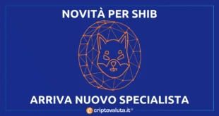 SHIB METAVERSE