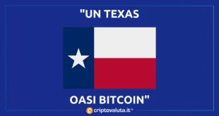 Cruz Texas Oasi Bitcoin