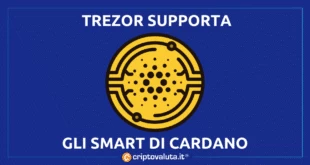 TREZOR SUPPORTA SMART ADA