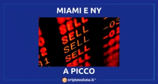 coin ny e miami giù