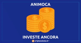 ANIMOCA INVESTE STELLA FANTASY