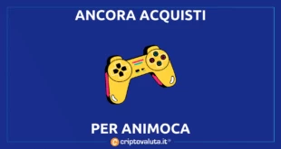 ANIMOCA ACQUISTI