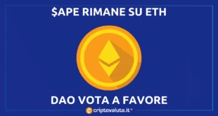 DAO APE CONTRO