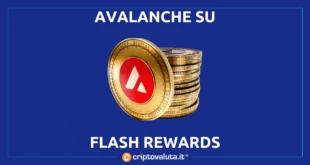 Flash Rewards Avalanche