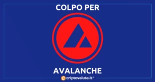 Avalanche BTC