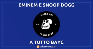 BAYC EMINEM SNOOP DOGG