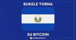 Bukele Bitcoin cosa