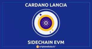 ALPHA EVM per Cardano