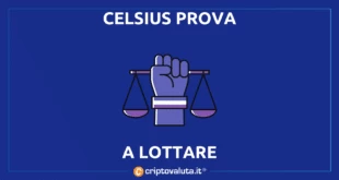 celsius lotta cripto