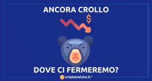 Bear market cripto