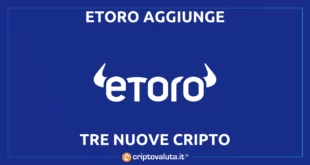 eToro nuove cripto