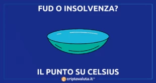 celsius realtà