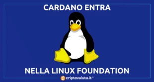 CARDANO LINUX FOUNDATION