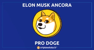 ELON MUSK DOGE