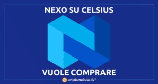 NEXO VUOLE COMPRARE CELSIUS