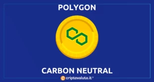 Polygon carbon neutral