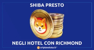 SHIBA HOTEL