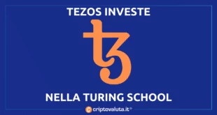 TEZOS TURING SCHOOL