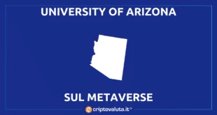 UNIVERSITY OF ARIZONA