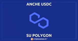 usdc sbarca su Polygon