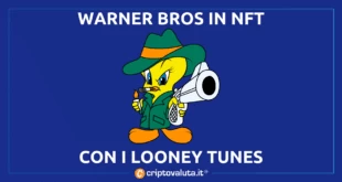 NFT Warner