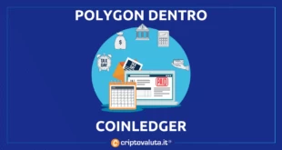 Accordo coinledger polygon