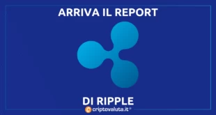 IL REPORT RIPPLE