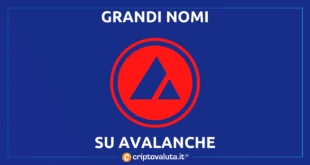 AVALANCHE BRAND