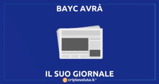 BAYC NEWSPAPER APPROVATO