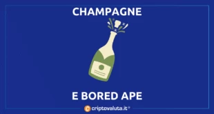 CHAMPAGNE BAYC