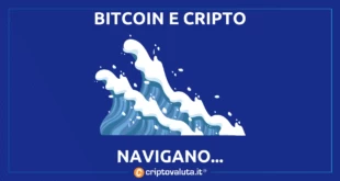 BITCOIN ANSIE CRIPTO