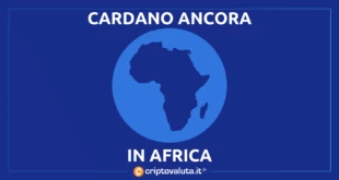 CARDANO AFRICA