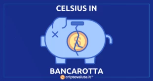 CELSIUS 11