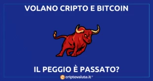 CRIPTO TORNANO A CRESCERE