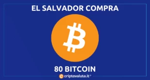 El Salvador Bitcoin - 80