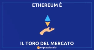 ethereum bull run