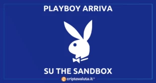 playboy su sandbox