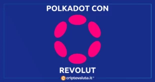 POLKADOT REVOLUT