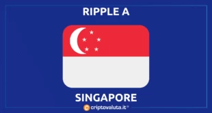 SINGAPORE FOMO PAY RIPPLE