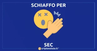 RIPPLE SEC SCHIAFFONI